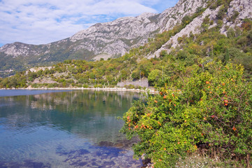 Beautiful autumn Mediterranean landscape.  Montenegro, Adriatic Sea, view of Kotor Bay near Risan town