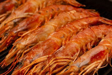tray seafood delicacy row of large red shrimp long large langoustines whole with head and shell