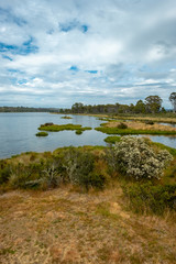 Bronte Lagoon. Beautiful tasmanian lake. Blue cloudy sky. Yellow grass