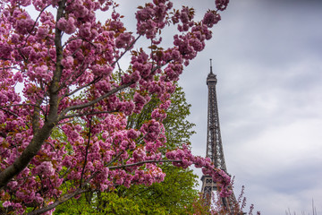 Fototapeta na wymiar Eiffel Tower in sunny spring day in Paris, France