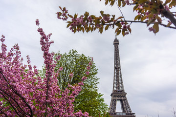 Fototapeta na wymiar Paris, France, 2019: Eiffel Tower in sunny spring day in Paris, France