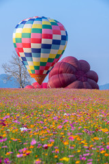 Hot air balloon over cosmos flowers with blue sky