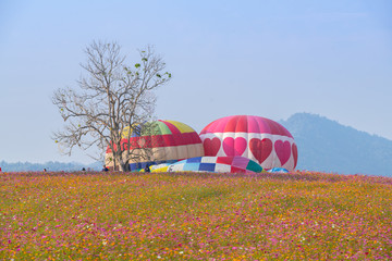 Obraz premium Hot air balloon over cosmos flowers with blue sky