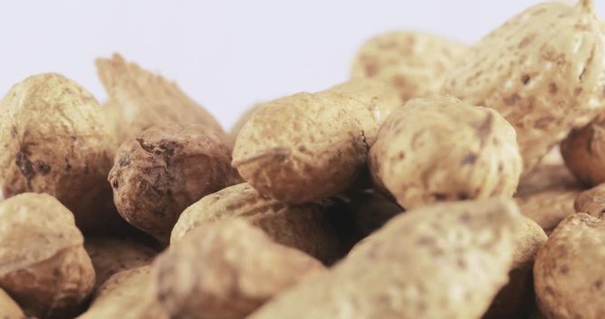 Peanuts in the shell roasted