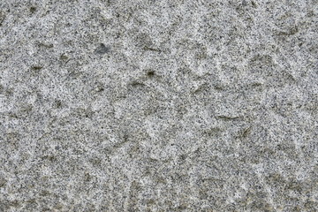 White rock in park