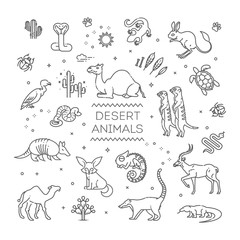 Line wildlife concept with different desert animals . Vector