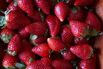 strawberries good for this season