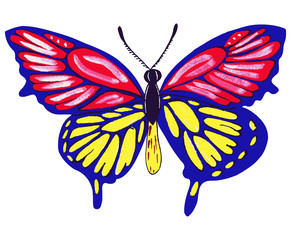 Vector illustration drawing butterflies multicolored watercolor on a background