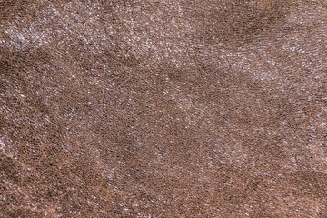 Texture light brown leather for the background