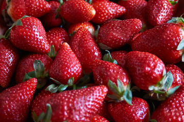 strawberries good for this season