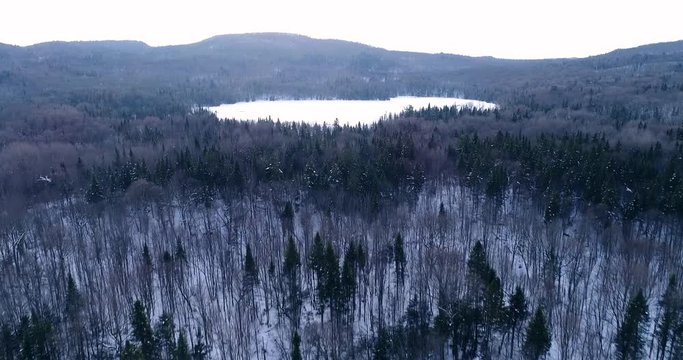A small swamp cover by snow surrounded by a dark forest. Filmed in Quebec, Canada.