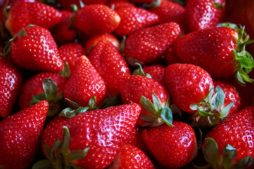 strawberries good for this season