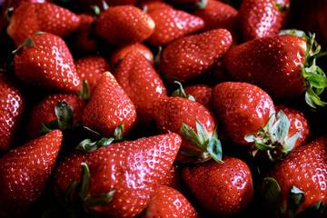 strawberries good for this season