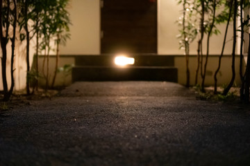 Obraz premium A tarmac walk way at night time with one single light in the end of step in front of the wood door and trees on both side.