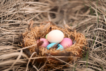 Happy Easter. Colorful Easters eggs in a nest with feathers.