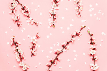 Naklejka premium Spring floral composition with copy space. Spring flower branches pattern pastel pink background. Flat lay