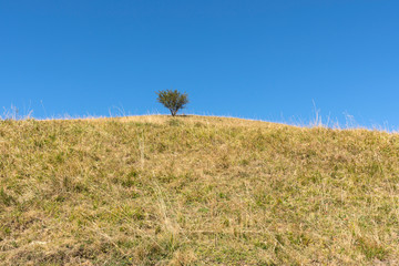 walk on the antola mountain in Italy on a sunny day