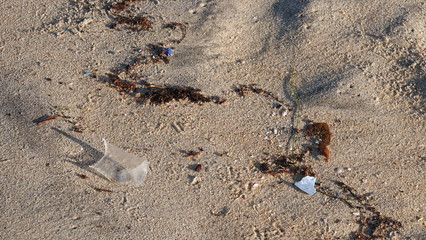 Plastic trash washed up on beach