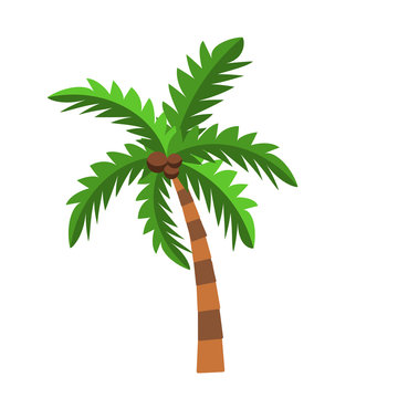 Vector illustration with palm tree isolated on white background. Cartoon palms on small piece of land. Logotype or icon simple coconut palm for travel agency or summer products, tour brochure, banner.