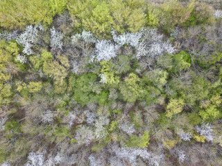 Drohnenaufnahme Halle/Saale