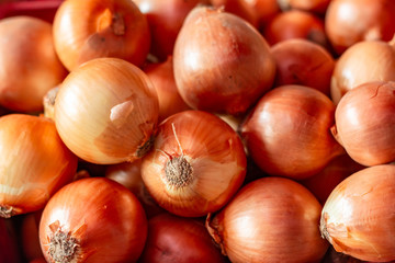 Fresh onions. Onions background. Ripe onions. Onions in market