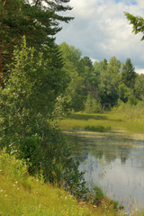 Obraz premium Landscape with forest lake