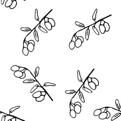 Основные RGBolive branch vector sketch