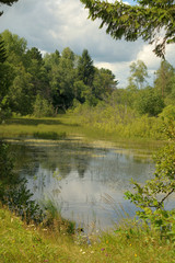 Fototapeta na wymiar Landscape with forest lake