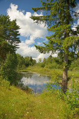 Landscape with forest lake