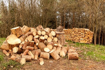 Pile of firewood. Preparation of firewood for the winter. Close up of blocks of firewood with log nearby and forest in background.