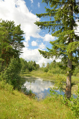 Landscape with forest lake