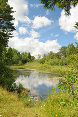 Landscape with forest lake