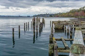 Fototapeta premium Decaying Pilings Landscape 5