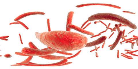 360-degree spherical panorama of bacteria Mycobacterium tuberculosis, and other mycobacteria, 3D illustration