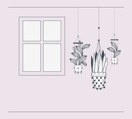 houseplants in macrame hangers with window