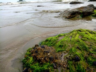 Great little island.