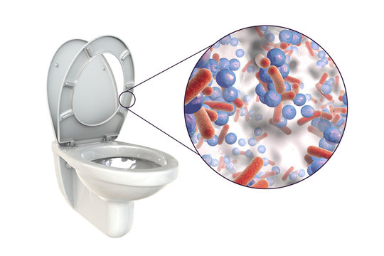 17,594 BEST Bathroom Germs IMAGES, STOCK PHOTOS & VECTORS | Adobe Stock