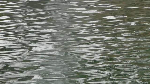 Steady, exterior, close up shot of the top of water rippling.
