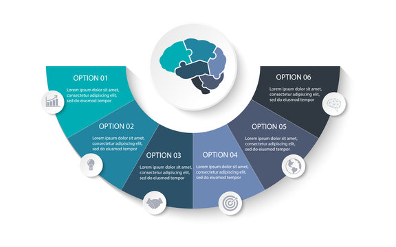 Anatomy Of Brain Jigsaw Puzzle Parts For Presentation Business Infographic Template With 6 Options , Process Or Steps. Modern Layout Graphic Elements Design. Vector Illustration.