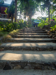 Stone staircase surrounded by greenery. Koh Phangan Thailand
