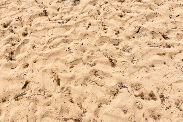 Sand on beach textures