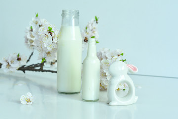 Easter composition on white background.Ceramic rabbit and two bottles of fresh milk with apricot flowers . Fresh milk from the farm.