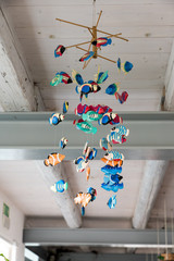 Fish hanging from the ceiling