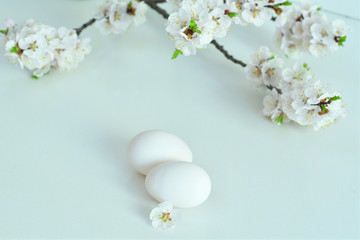 Easter composition on white background.Ceramic rabbit and two bottles of fresh milk with apricot flowers . Fresh milk from the farm.