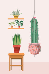 houseplants in macrame hangers and wooden chair