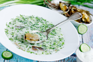 Cold refreshing soup okroshka made from mineral soda water, kefir, fresh cucumber, dill, onion, garlic and smoked fish