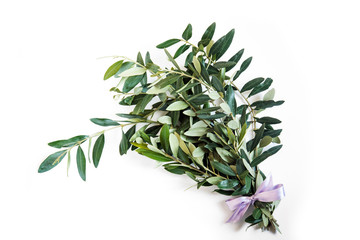 rami di ulivo per festa delle Palme