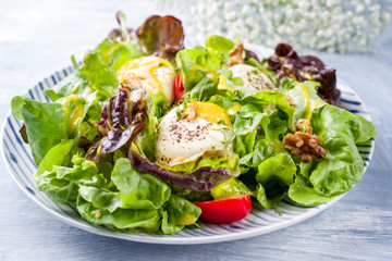 Traditional Germen summer lettuce with curled lettuce, goat cheese and mango dressing as closeup on...