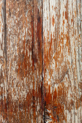 Brown Old Wood Texture