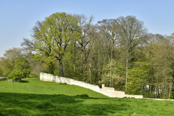 Partie restante du mur d'enceinte d'origine du domaine de l'abbaye du Rouge-Cloître ,entourant une zone boisée à Auderghem